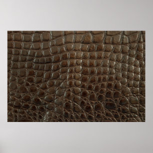 Echte bruine alligatorleder dicht bij show poster
