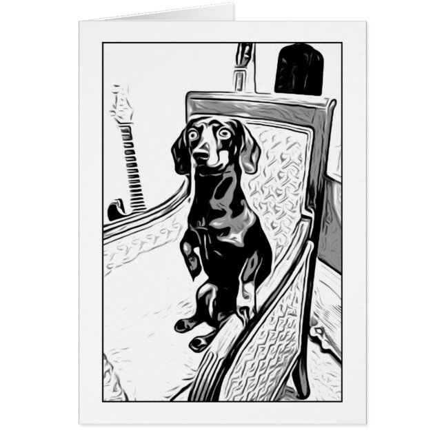 echte dachshund (Voorkant)