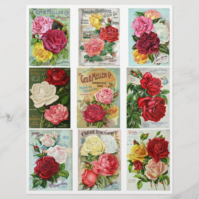 Echte  Flower Seed Catalog Hoesjes (Voorkant)