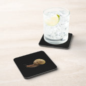 echte foto van slak bier onderzetter (Rechterzijde)