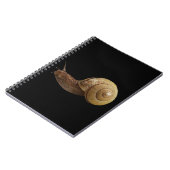 echte foto van slak notitieboek (Linkerzijde)