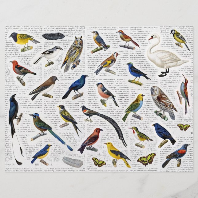 Echte  (geen AI) Vogels op Newsprint Backgrd (Voorkant)