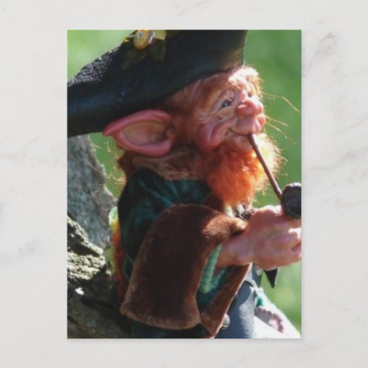 echte leprechaun briefkaart (Voorkant)