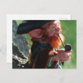 echte leprechaun briefkaart (Voorkant / Achterkant)