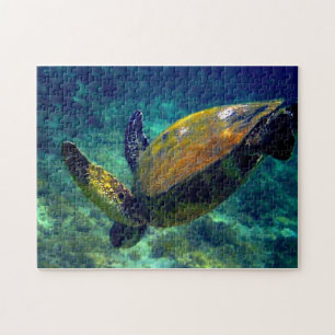 Echte levende zeeen schildpadden legpuzzel