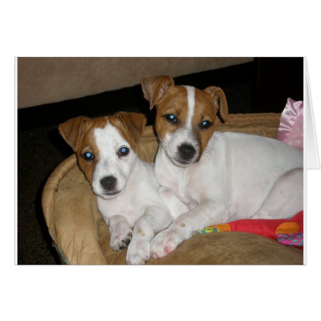 Echte liefde (Voorkant Horizontaal)