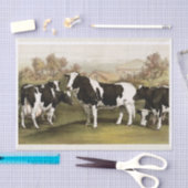 Echte (niet AI)  Koeien in een veld Tissuepapier (Craft)