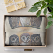 Echte (niet AI) pijp roken uilen illustratie Tissuepapier (Geschenk)