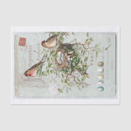 Echte (niet AI) Victoriaans Vogelcollage Tissuepapier (Voorkant)