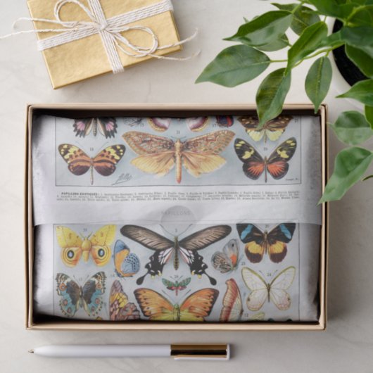 Echte (niet AI)  vlindergrafiek Tissuepapier (Geschenk)