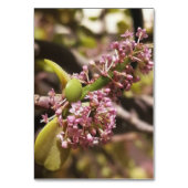 Echte omgeving uitzicht kaart (Achterkant)