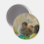 Echte paaskip magneet (Voorkant / Achterkant)