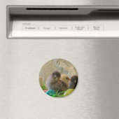 Echte paaskip magneet (Insitu (Vaatwasser))