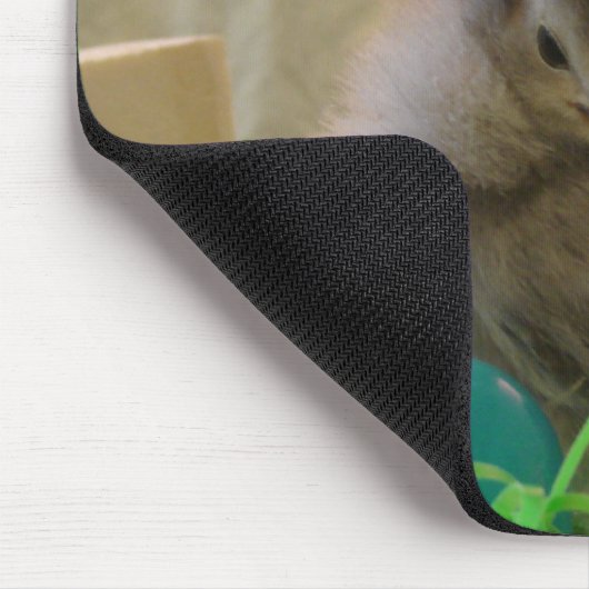 Echte paaskip muismat (Hoek)