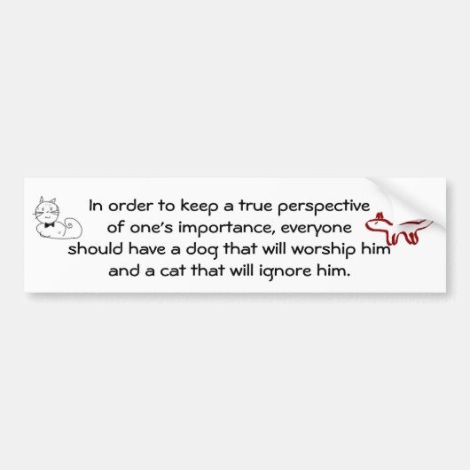Echte perspectieven bumpersticker (Voorkant)