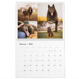 Echte Ridder Belgische Tervuren hond/puppy Kalende Kalender