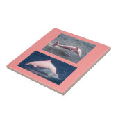 echte roze dolfijntegels tegeltje (Zijkant)