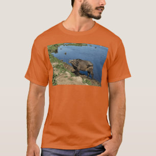 Echte Vietnamese buffels en rijstvelden T-shirt