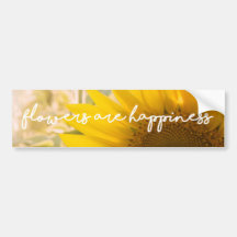 Echte Zonnebloem Foto Veld Bloemen Zijn Geluk