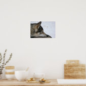 Echtgenige hond met blauwe ogen poster (Keuken)