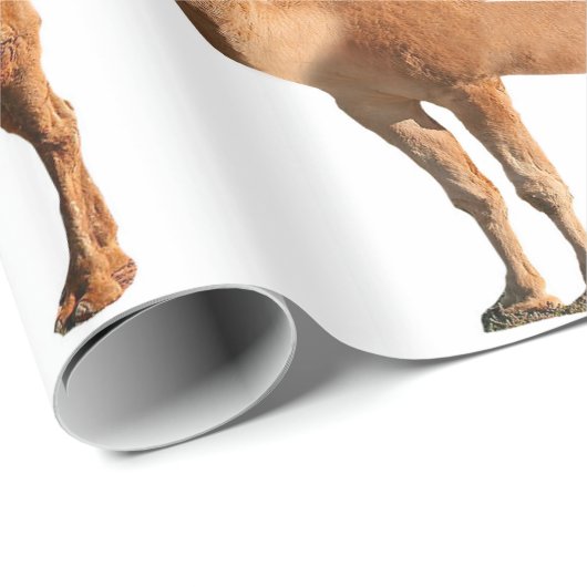 Echtscheiding inpakpapier (Rol Hoek)