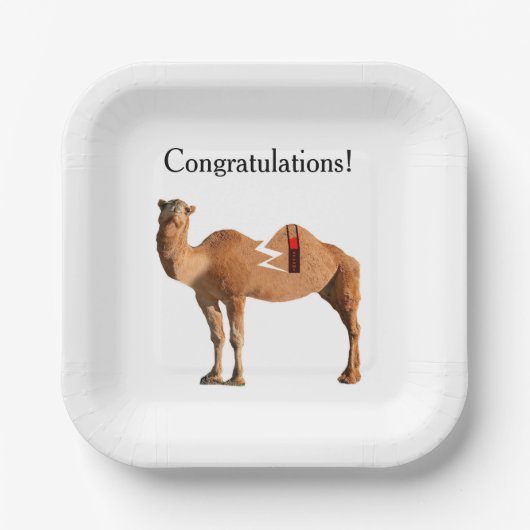 Echtscheiding Partij Papier Borden Papieren Bordje (Voorkant)