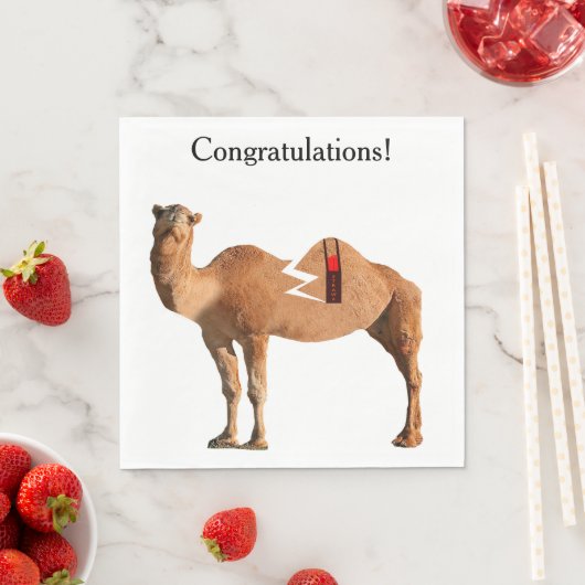 Echtscheiding Party servetten (Insitu)