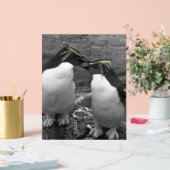 Éclaboussure de couleur de pingouin (Mariage)