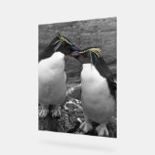 Éclaboussure de couleur de pingouin (Angle)