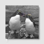 Éclaboussure de couleur de pingouin (Recto)