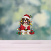 Éclairage de Noël Cavalier roi Charles Spaniel Chi (Neutre)