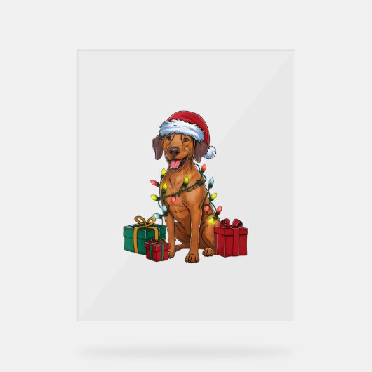 Éclairage de Noël Père Noël Rhodesian Ridgeback Ch (Recto)