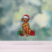 Éclairage de Noël Père Noël Rhodesian Ridgeback Ch (Neutre)