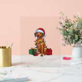 Éclairage de Noël Père Noël Rhodesian Ridgeback Ch (Mariage)
