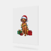 Éclairage de Noël Père Noël Rhodesian Ridgeback Ch (Angle)