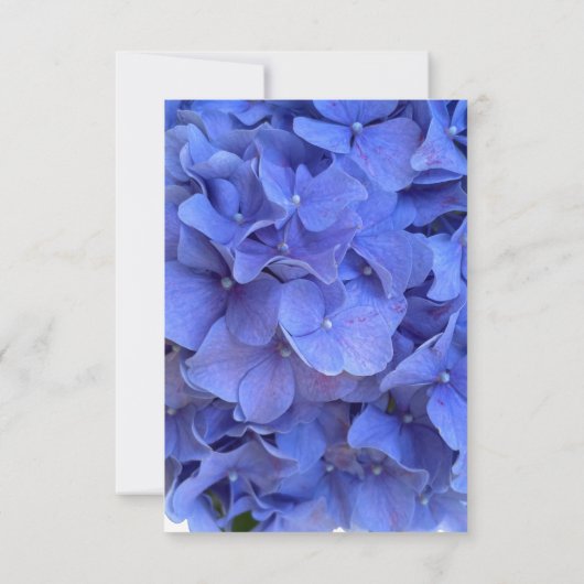 Eclairage fleuri bleu élégant hydrangées RSVP (Dos)