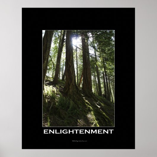 ÉCLAIRAGE Forêt Motivationnel Poster photo (Devant)