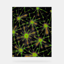 Éclat de Réseau Neuronal – Enseigne en Acrylique P