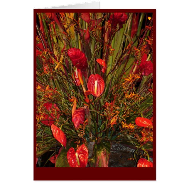 Éclatement tropical (Devant)