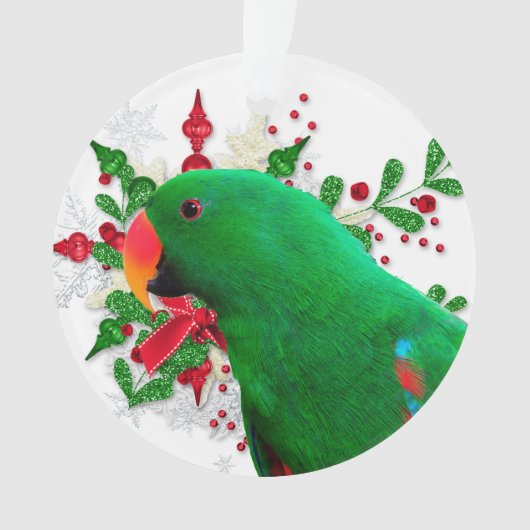 Eclectus Kerstmis Ornament (voorkant)