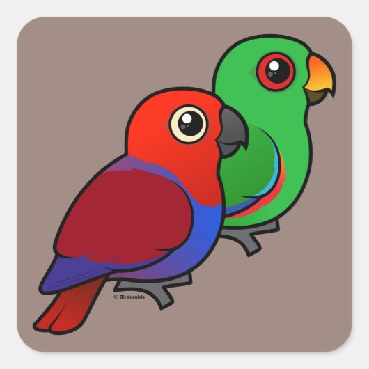 Eclectus Pair Vierkante Sticker (Voorkant)