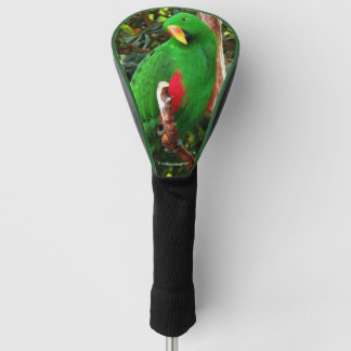 Eclectus Parrot Golfheadcover