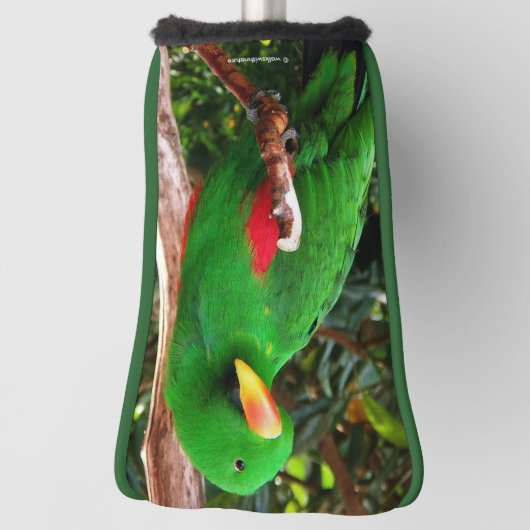 Eclectus Parrot Golfheadcover (Draai 90)