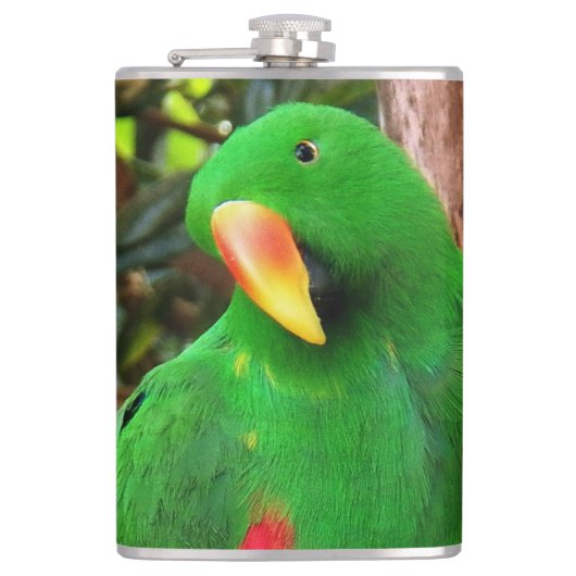 Eclectus Parrot Heupfles (Voorkant)