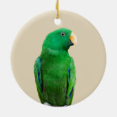 Eclectus Parrot Male Keramisch Ornament (Achterkant)