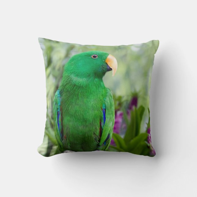 Eclectus Parrot Male Kussen (Voorkant)