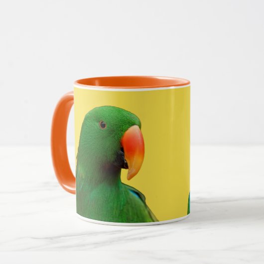 Eclectus Parrot Mok (Voorkant links)