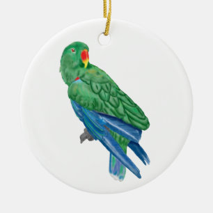 Eclectus Parrot Ornament