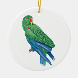 Eclectus Parrot Ornament
