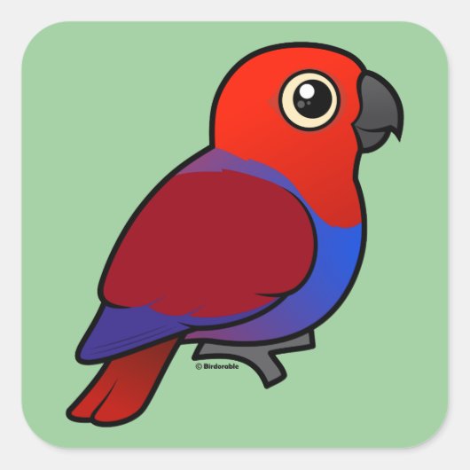 Eclectus Parrot vrouw Vierkante Sticker (Voorkant)